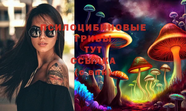 apvp Алзамай