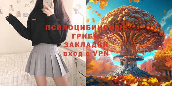 apvp Алзамай