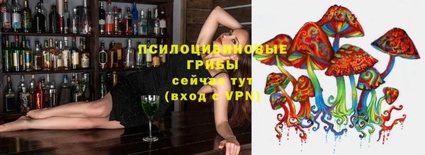 хмурый Алексеевка