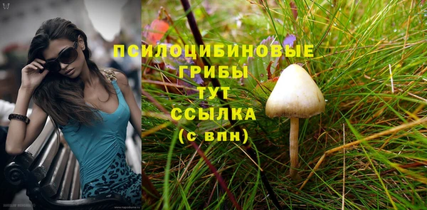 хмурый Алексеевка