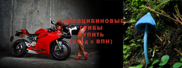 хмурый Алексеевка